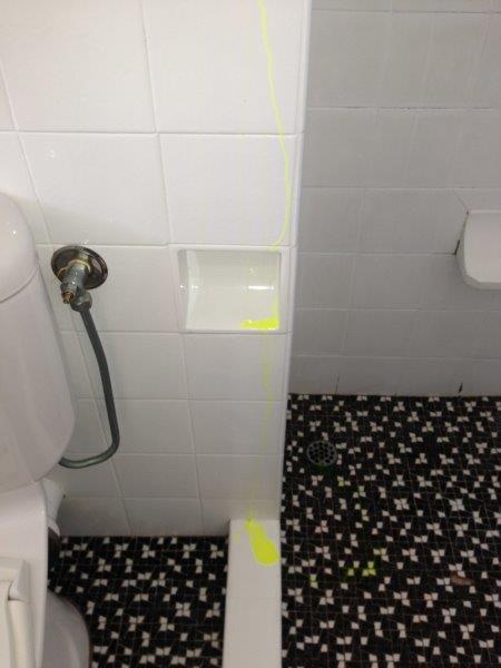 Dye test on shower leak