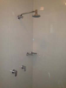 The Shower