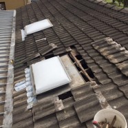 CMF Plumbing roof cleaning at East Ryde.