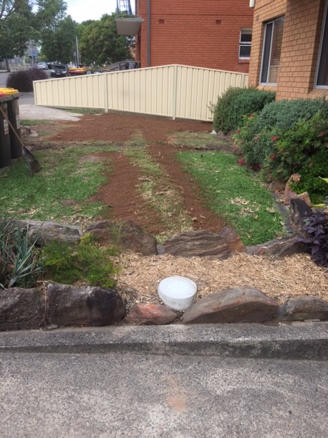 The restoration of the front lawn. 