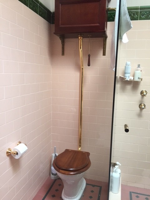 Gold plated toilet pipe