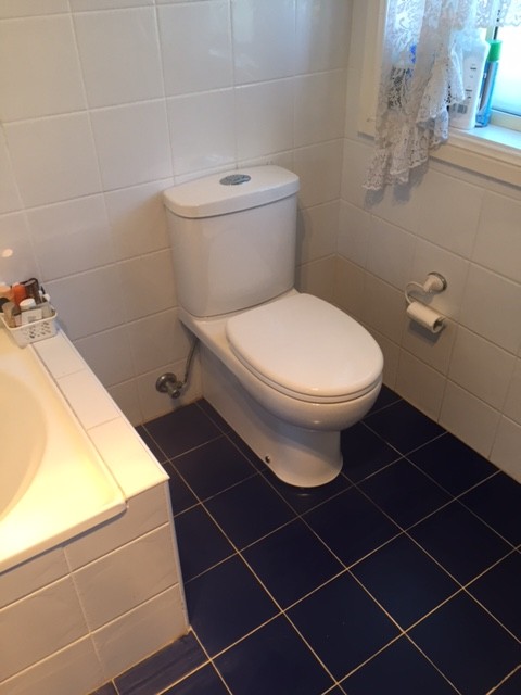 new toilet