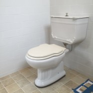 French toilet suite in  Annandale NSW