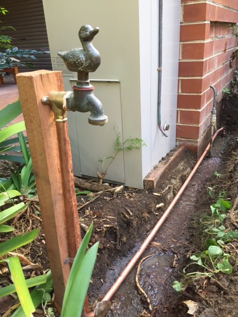 Epping Plumber moved hose