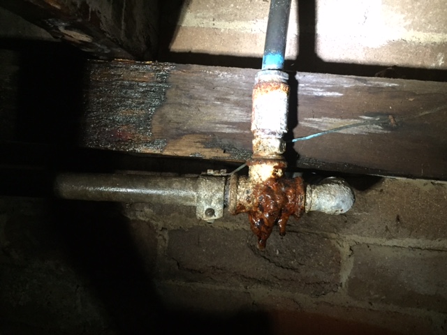 The old galvanized steel water pipe under the house was leaking.