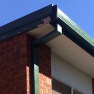 CMF Plumbing install new gutter at Ryde NSW